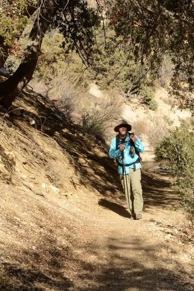 DSC_6247 (Large).JPG